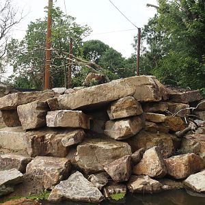 Umvikeli - New aviary for vultures, secretary birds and other African birds - Rocky outcropping, 2025-06-09