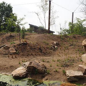 Umvikeli - New aviary for vultures, secretary birds and other African birds, 2025-06-09