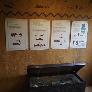 Umvikeli - New aviary for vultures, secretary birds and other African birds - Poisoning as a threat to vultures display, 2025-06-09