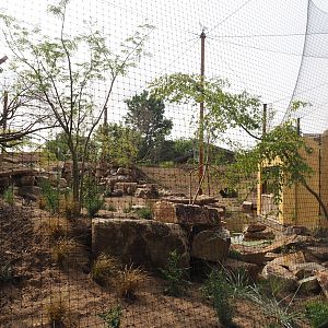 Umvikeli - New aviary for vultures, secretary birds and other African birds - View of aviary and viewing area from outside, 2025-06-09