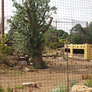 Umvikeli - New aviary for vultures, secretary birds and other African birds - View of aviary and viewing area from outside, 2025-06-09