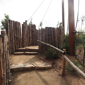 Umvikeli - New aviary for vultures, secretary birds and other African birds - Side viewing area, 2025-06-09