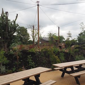 Umvikeli - New aviary for vultures, secretary birds and other African birds - View of aviary from outside, 2025-06-09