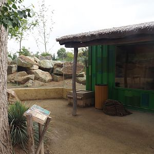 Meerkat exhibit and house next to the Umvikeli aviary, 2025-06-09