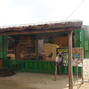 Meerkat house next to the Umvikeli aviary, 2025-06-09