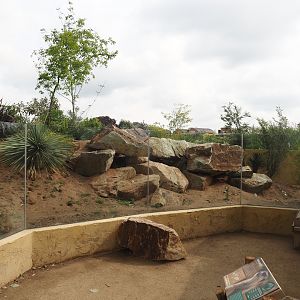Meerkat exhibit next to the Umvikeli aviary, 2025-06-09