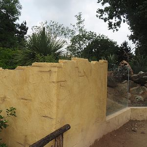 Meerkat exhibit next to the Umvikeli aviary, 2025-06-09