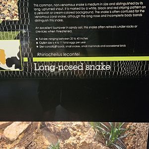 New snake and new signage