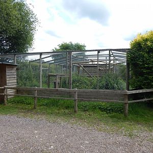 Serval enclosure 060625