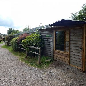 Former African civet enclosure 060625