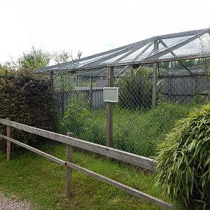 Former African civet enclosure 060625