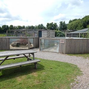 Meerkat enclosure 060625