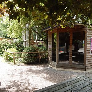 Ring-tailed lemur enclosure 060625