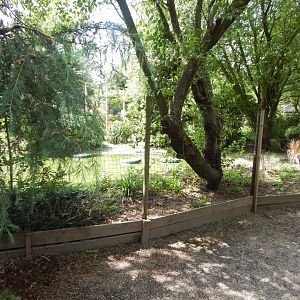 Chilean flamingo enclosure 060625