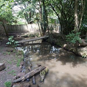 Asian small-clawed otter enclosure 060625