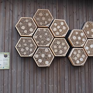 Wild bee hotel, 2024-08-21