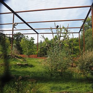 Taiga aviary, 2024-08-21