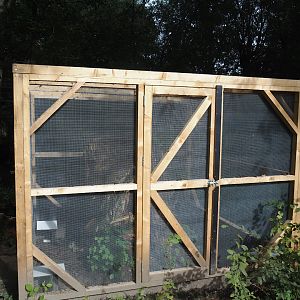 Protective casing around tree stump housing the only Dutch population of the Hermit beetle (Osmoderma eremita), 2024-08-21