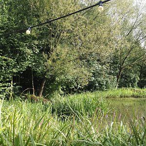 Wetland area for native wildlife, 2024-08-21