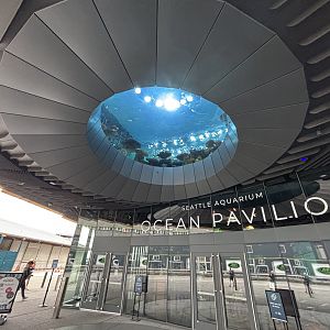 Ocean Pavilion - The Reef Oculus Window
