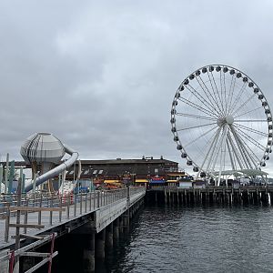 Seattle Great Wheel + Jellyfish Playground