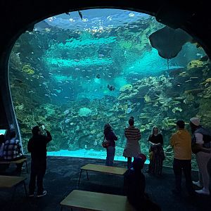 Ocean Pavilion - The Reef