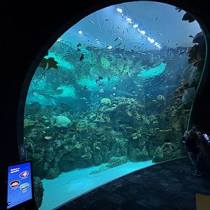 Ocean Pavilion - The Reef