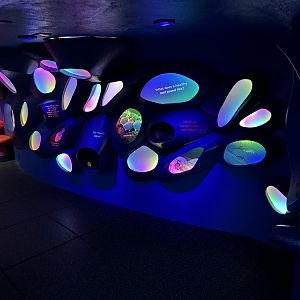 Ocean Pavilion - cave-like zone