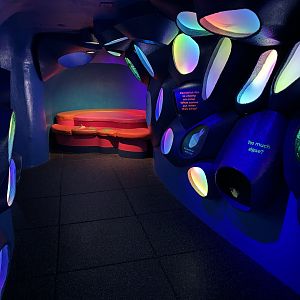 Ocean Pavilion - cave-like zone