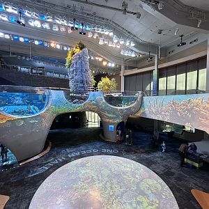 Ocean Pavilion - One Ocean Hall