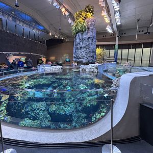 Ocean Pavilion - The Archipelago