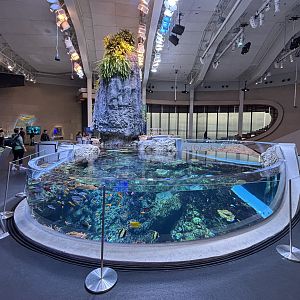 Ocean Pavilion - The Archipelago