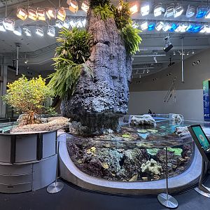 Ocean Pavilion - The Archipelago