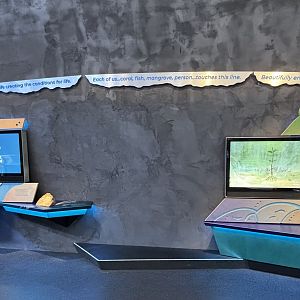 Ocean Pavilion - Coral + Mangrove Stories