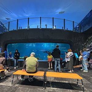 Ocean Pavilion - The Reef (upper view)
