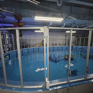 Ocean Pavilion - Quarantine Pool
