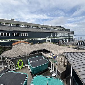 Overview of Aviaries