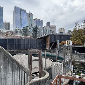 Seattle Skyline + Aquarium Overview
