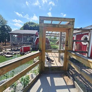 Duck pond and enclosure