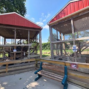 Raccoon and Porcupine enclosures