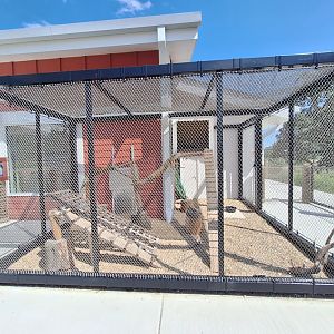 Turkey Vulture Enclosure