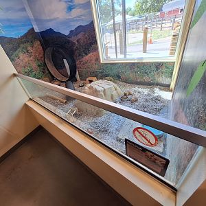 Prairie Dog Enclosure