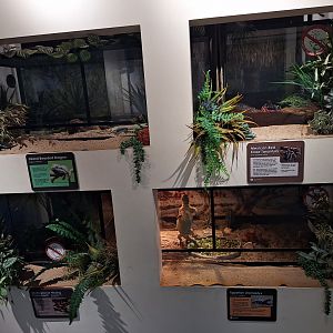 Row of terrariums