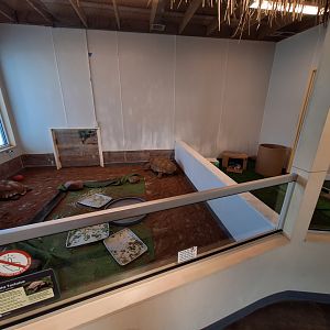 Sulcata Tortoise Enclosure