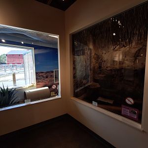 Fennec Fox and Chinchilla enclosures