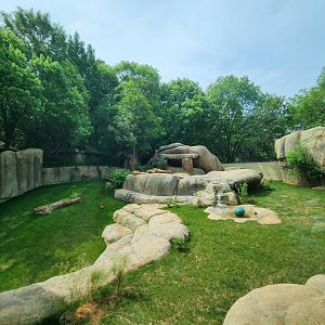 Zoo Atlanta - New Lion yard