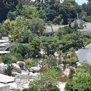 Overview of African Birds