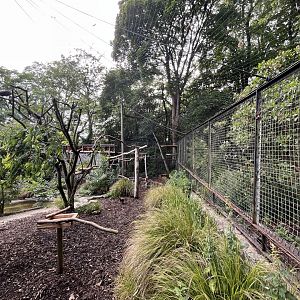 Refurbished Blackdrapp ibis aviary 22.6.25