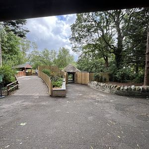 View of cheetah enclosure and housing 22.6.25