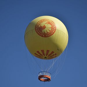 The Balloon